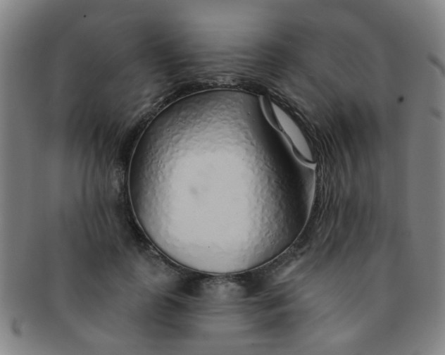 X0000091370747200708241333