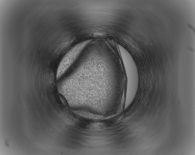 X0000091370748200708241333