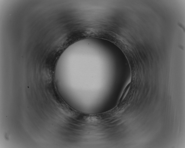 X0000091370751200708241333