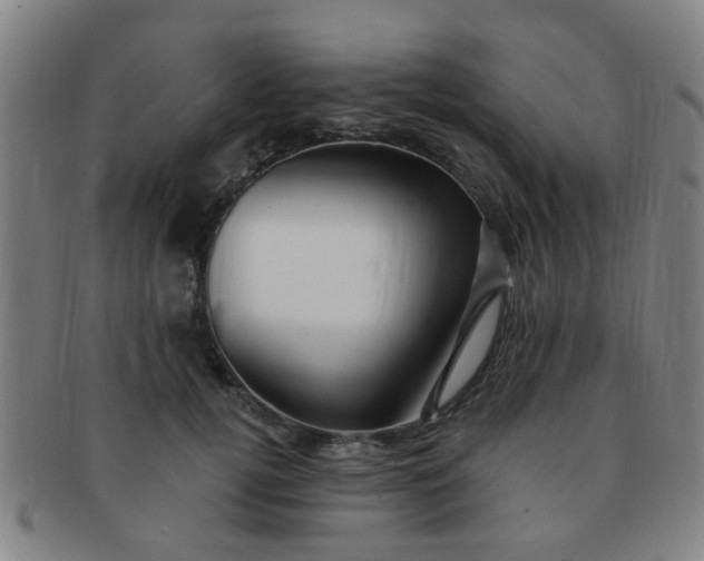 X0000091370752200708241333