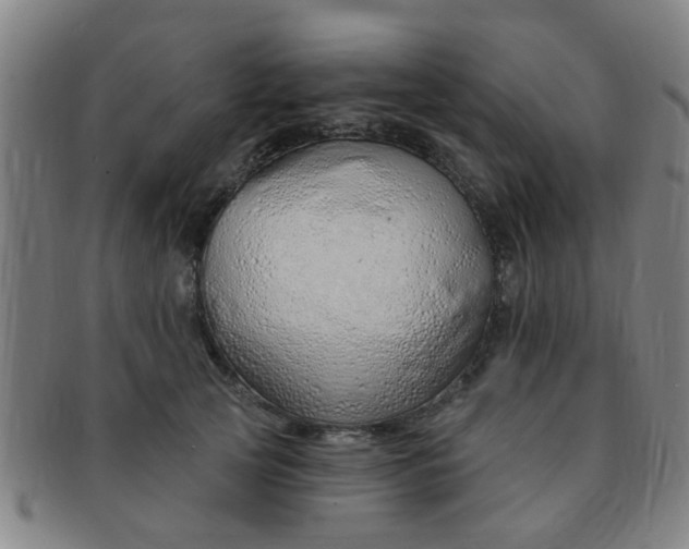 X0000091370753200708241333