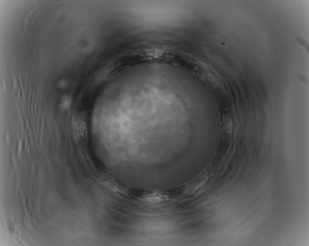 X0000091370754200708241333