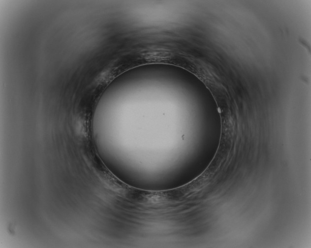 X0000091370755200708241333