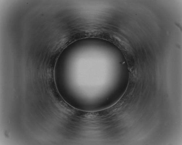 X0000091370756200708241333