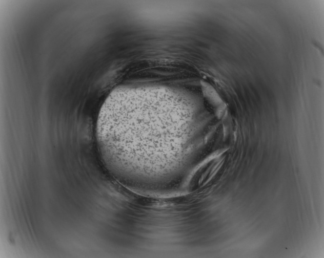 X0000091370760200708241333