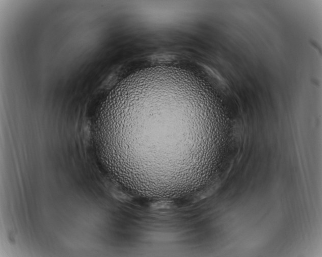 X0000091370761200708241333