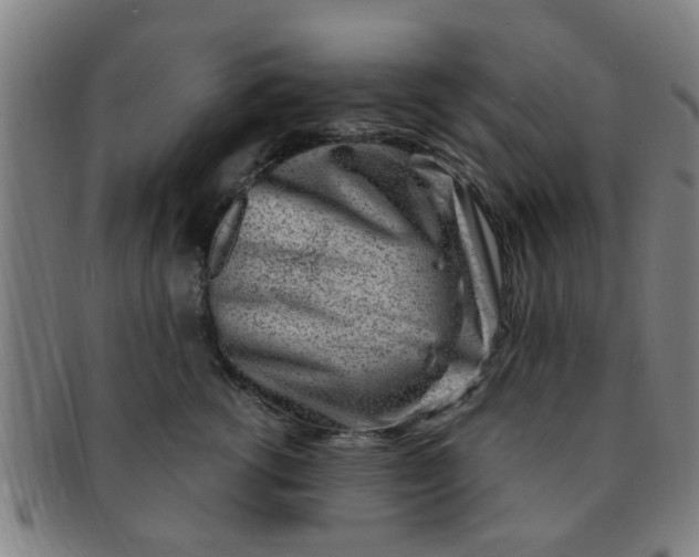 X0000091370762200708241333