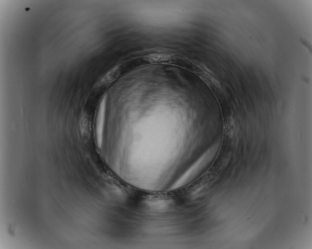 X0000091370763200708241333