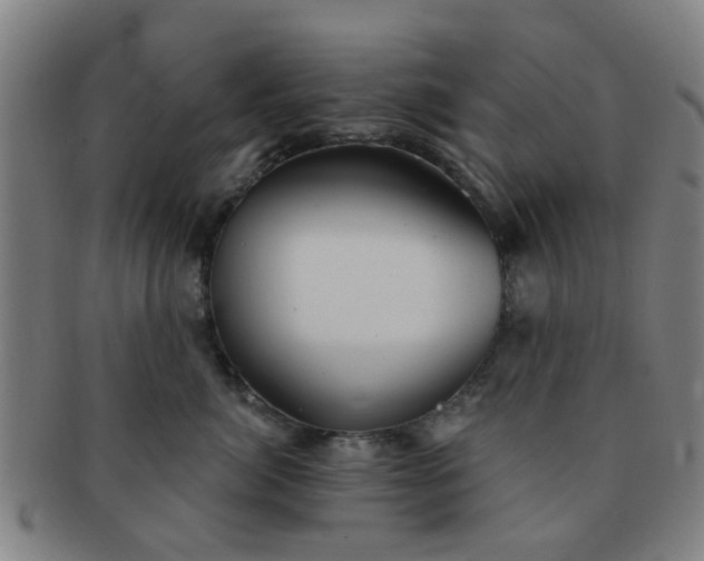 X0000091370764200708241333