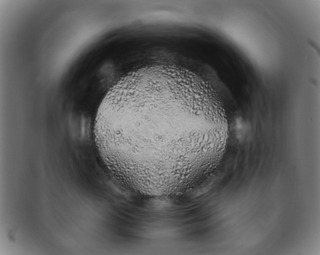 X0000091370765200708241333