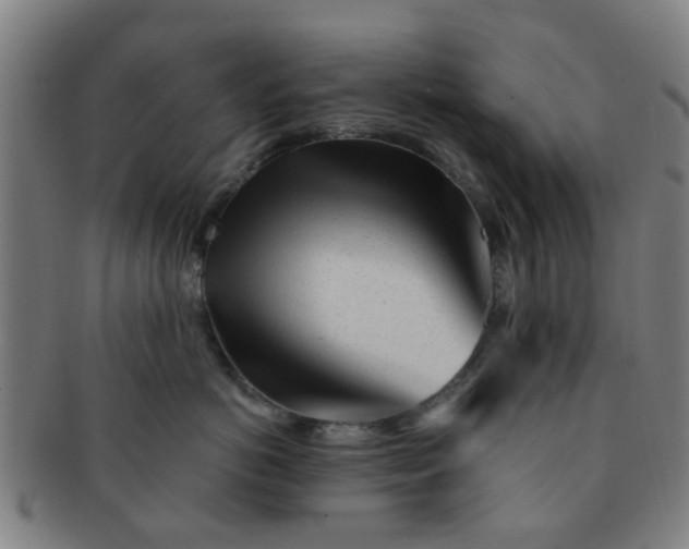 X0000091370766200708241333