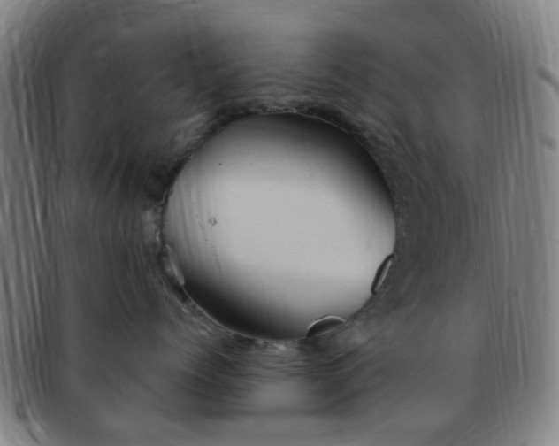 X0000091370768200708241333