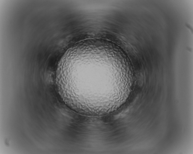 X0000091370770200708241333