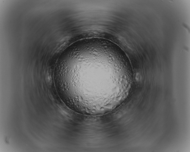 X0000091370771200708241333