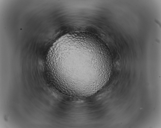 X0000091370772200708241333