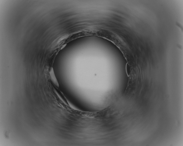 X0000091370773200708241333