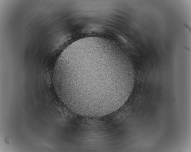 X0000091370774200708241333