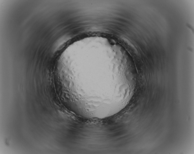 X0000091370775200708241333