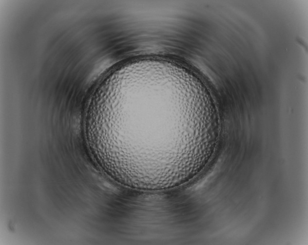 X0000091370778200708241333