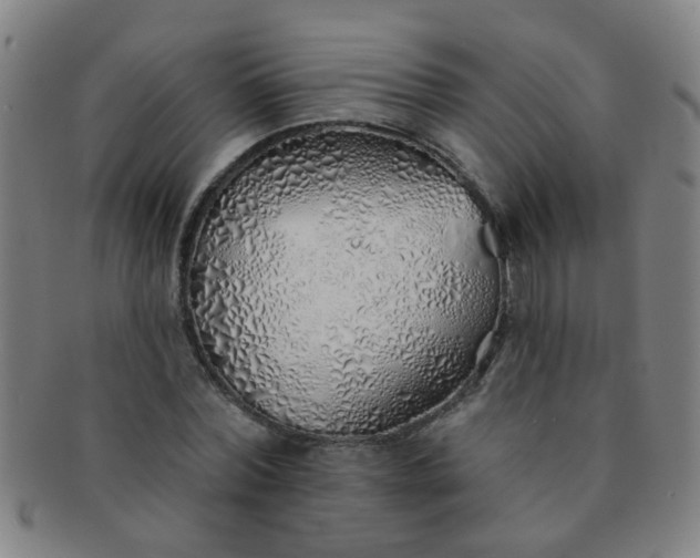 X0000091370780200708241333