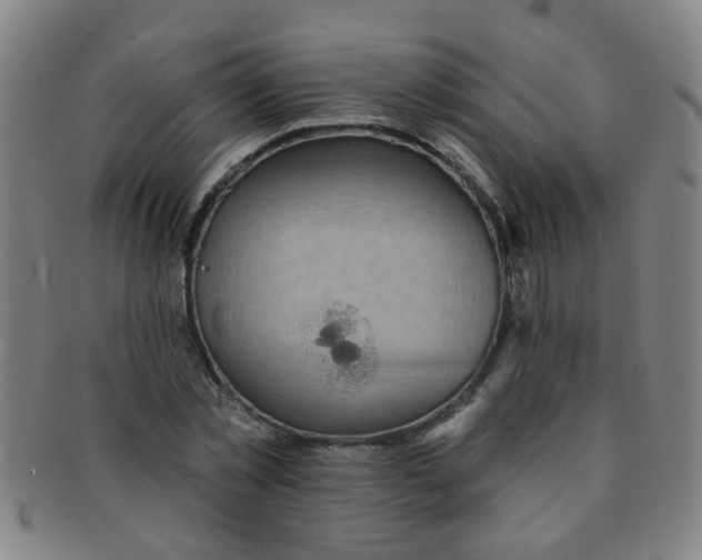 X0000091370781200708241333