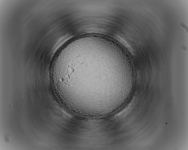 X0000091370782200708241333