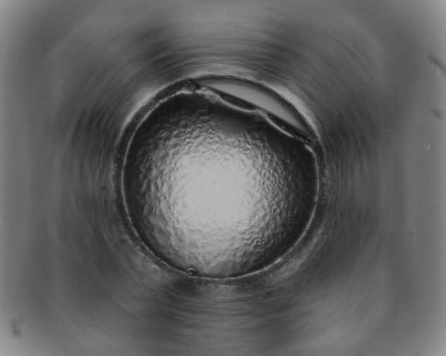 X0000091370783200708241333