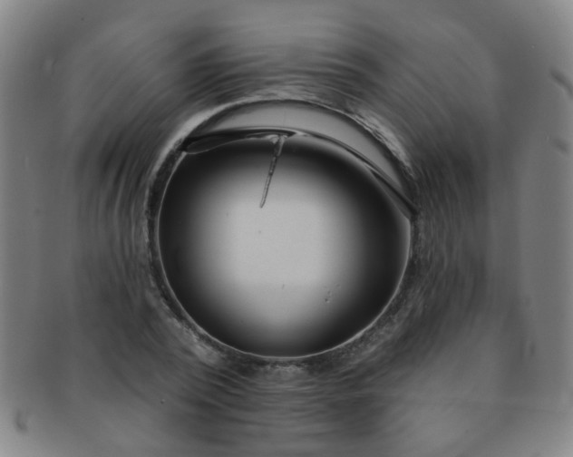 X0000091370784200708241333