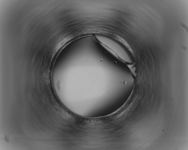 X0000091370786200708241333