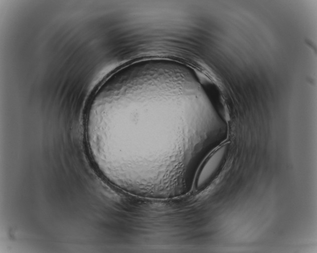 X0000091370787200708241333