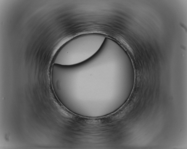 X0000091370789200708241332