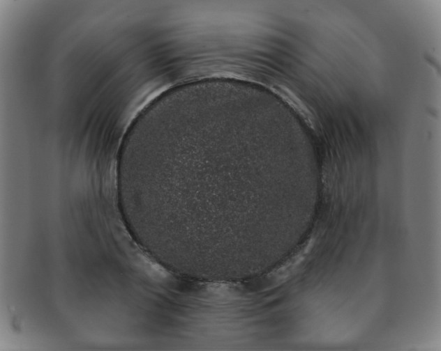 X0000091370790200708241332