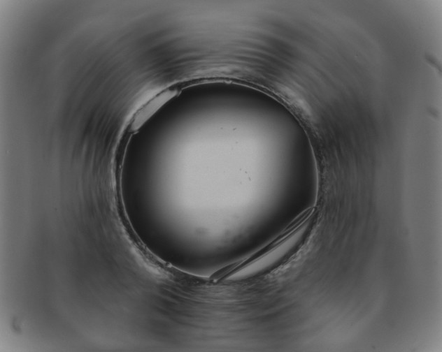 X0000091370792200708241332