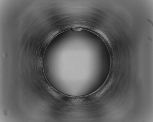 X0000091370793200708241332