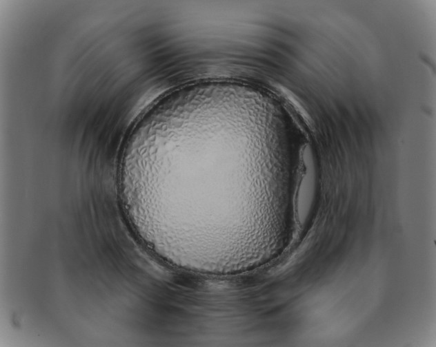 X0000091370794200708241332