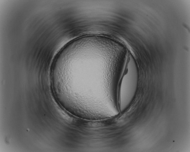 X0000091370795200708241332