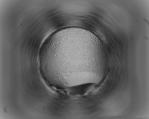 X0000091370796200708241332