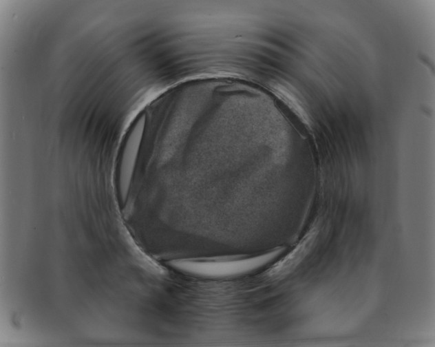 X0000091370797200708241332