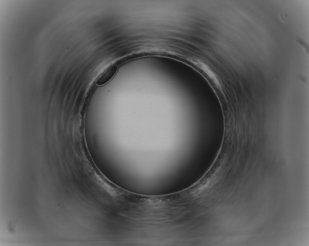 X0000091370799200708241332