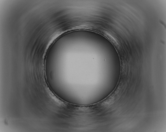 X0000091370800200708241332