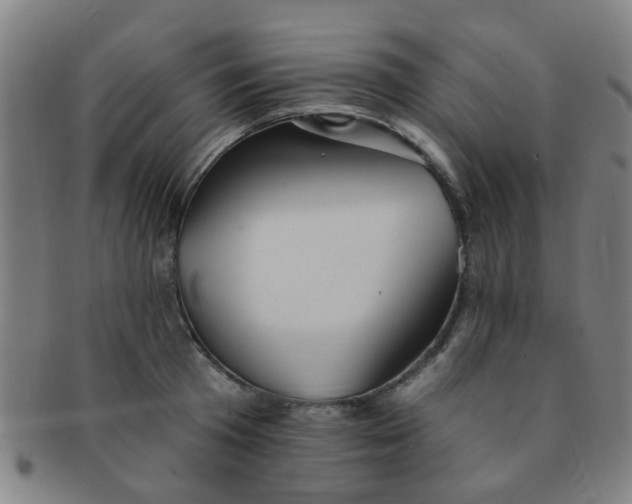 X0000091370801200708241332