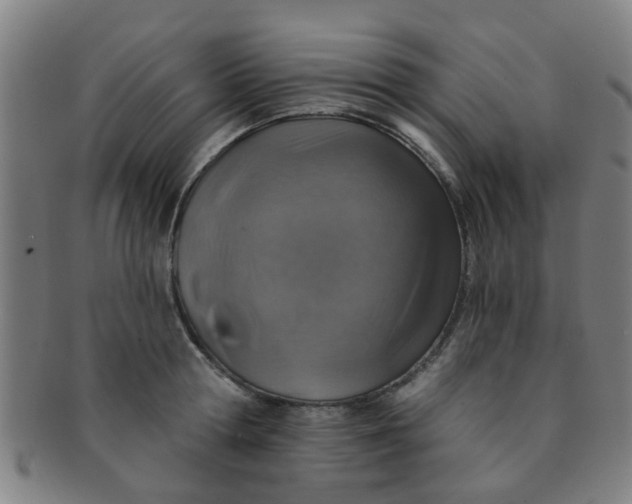 X0000091370802200708241332