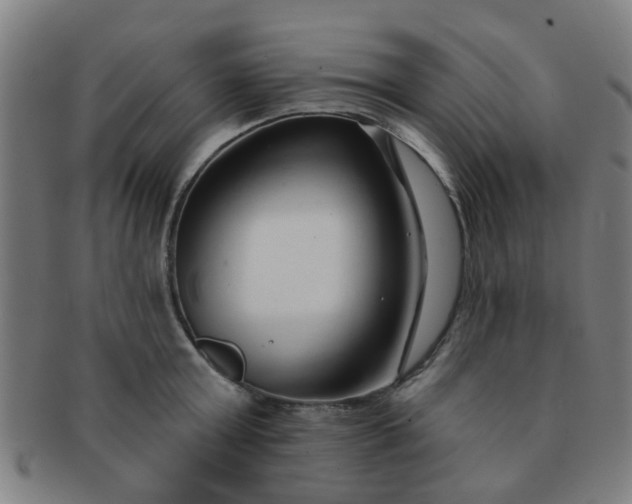 X0000091370803200708241332