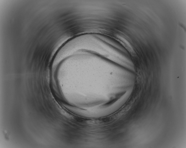 X0000091370804200708241332