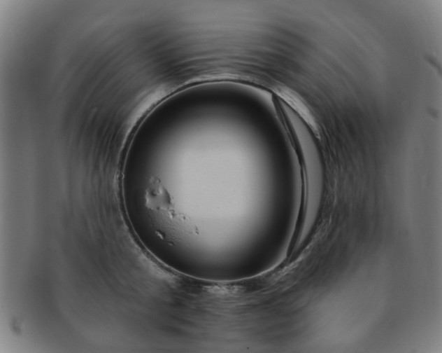 X0000091370805200708241332