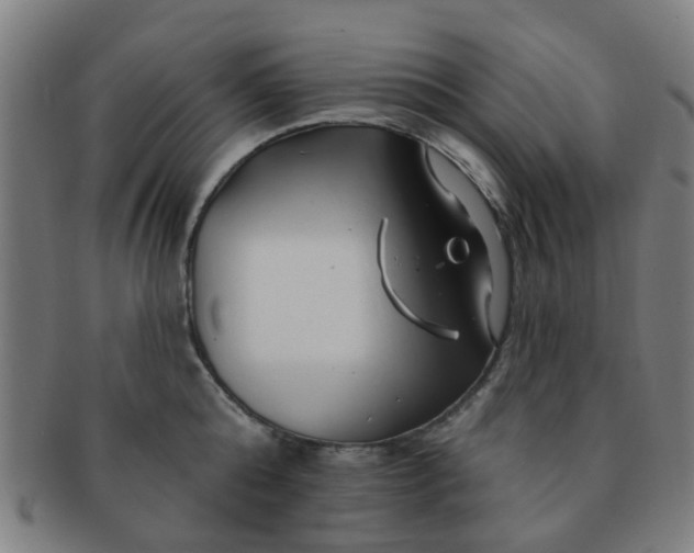 X0000091370808200708241332