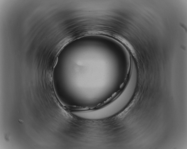 X0000091370809200708241332