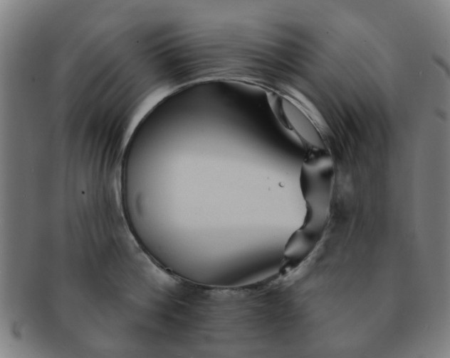 X0000091370812200708241332