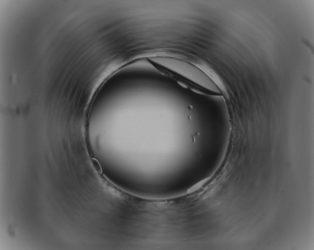 X0000091370813200708241332