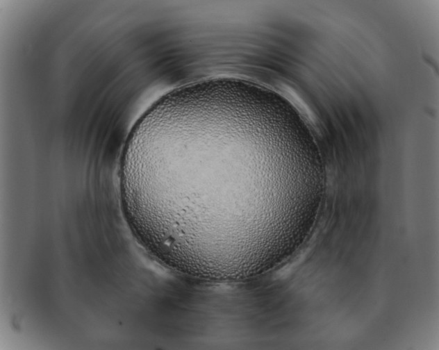 X0000091370814200708241332